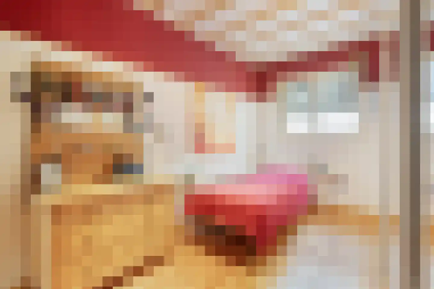 Kapelstraat 20 Beek en Donk thumbnail 12