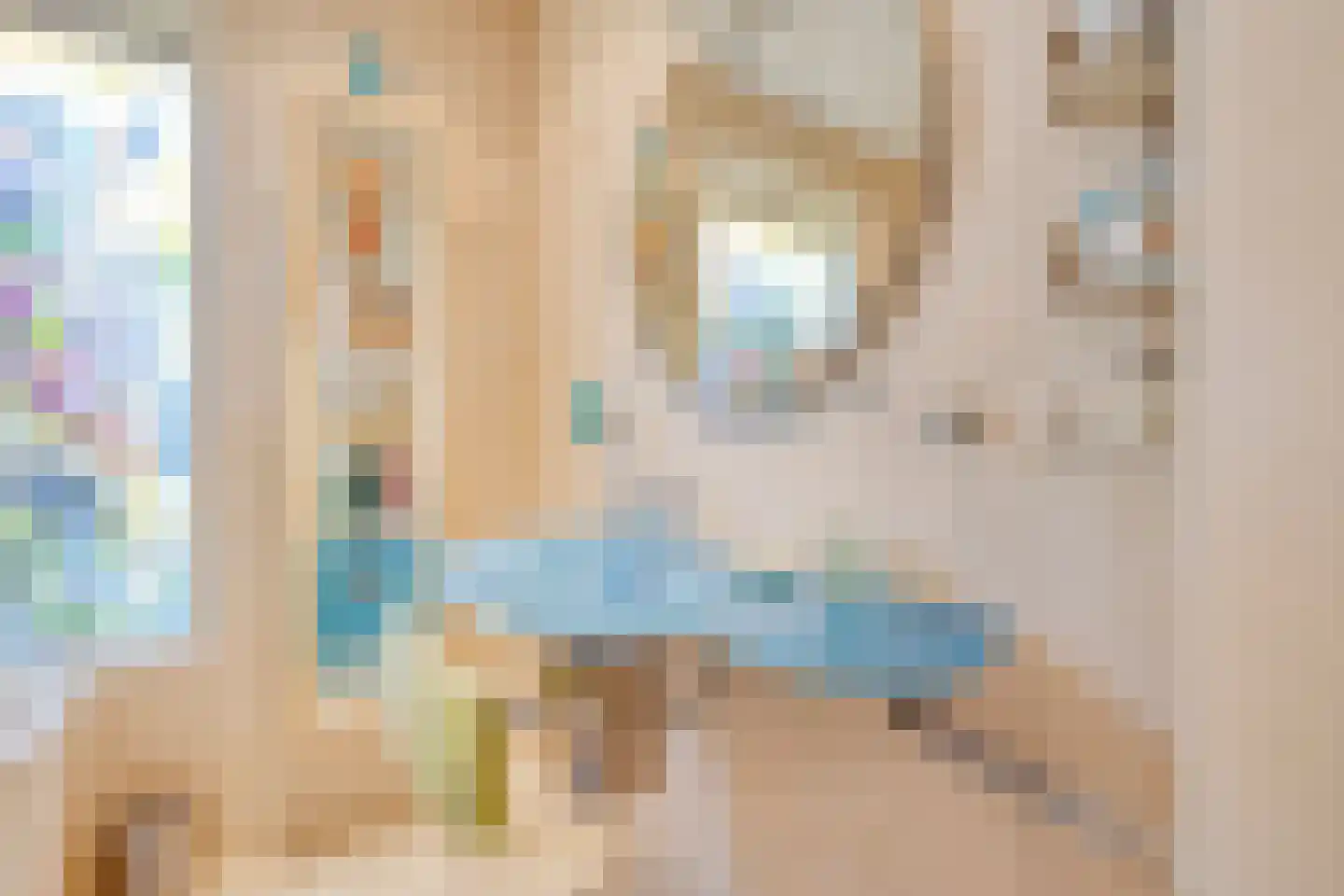 Kapelstraat 20 Beek en Donk thumbnail 17