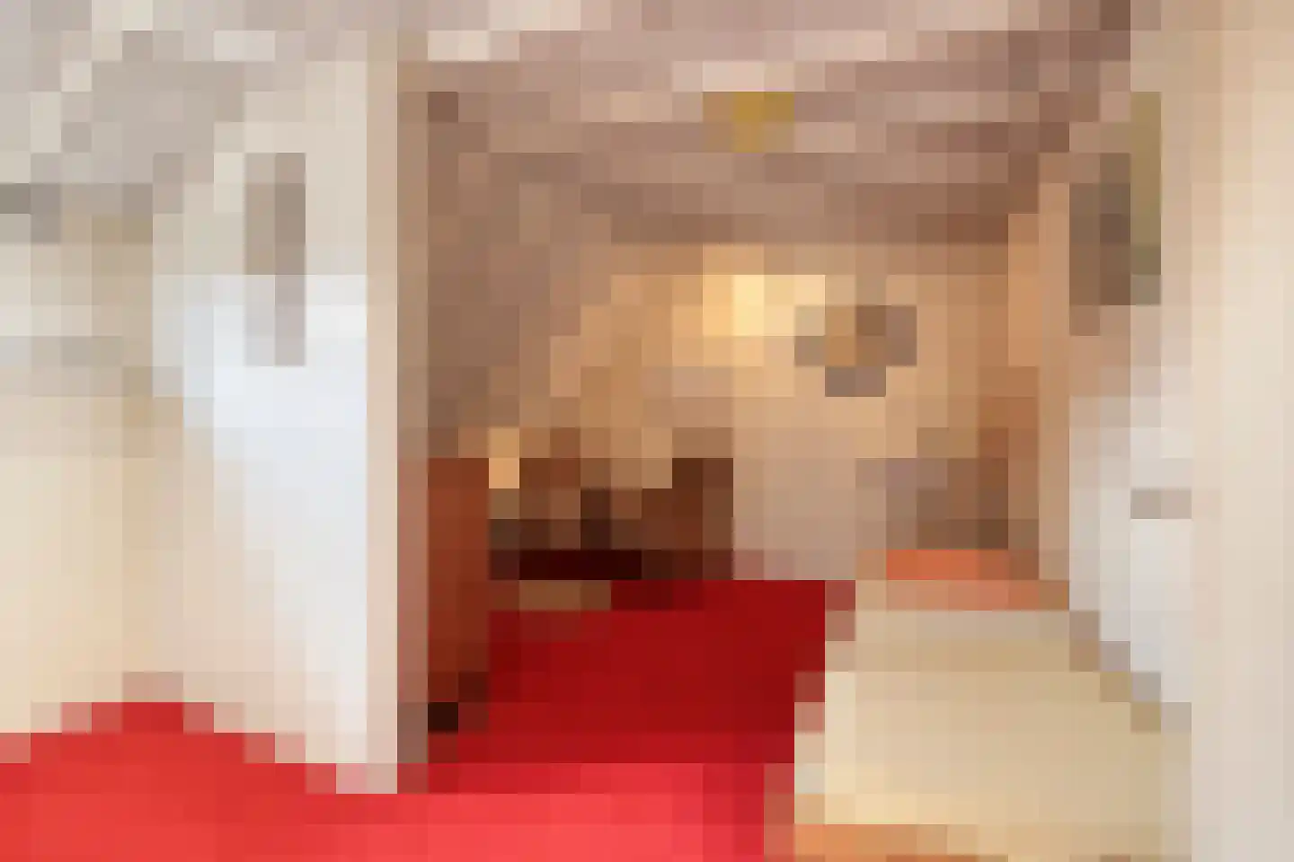 Kapelstraat 20 Beek en Donk thumbnail 22