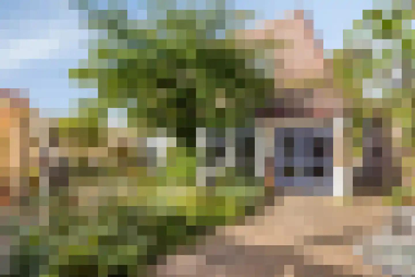 Kapelstraat 20 Beek en Donk thumbnail 25