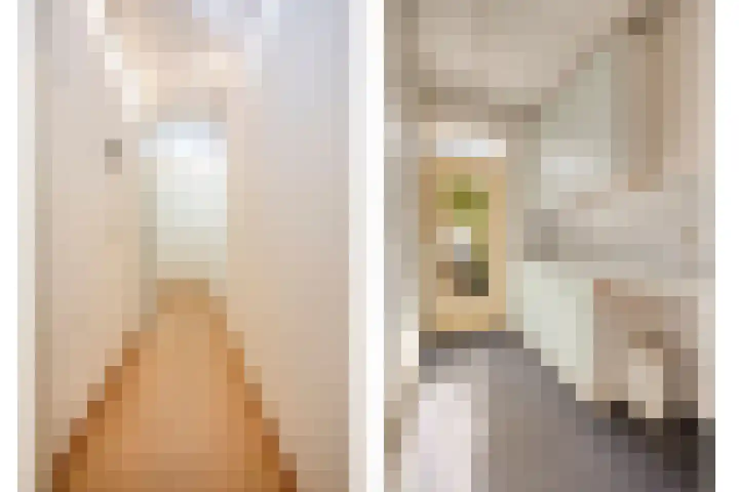 Kapelstraat 20 Beek en Donk thumbnail 26