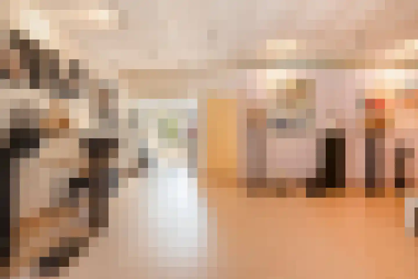 Kapelstraat 20 Beek en Donk thumbnail 34