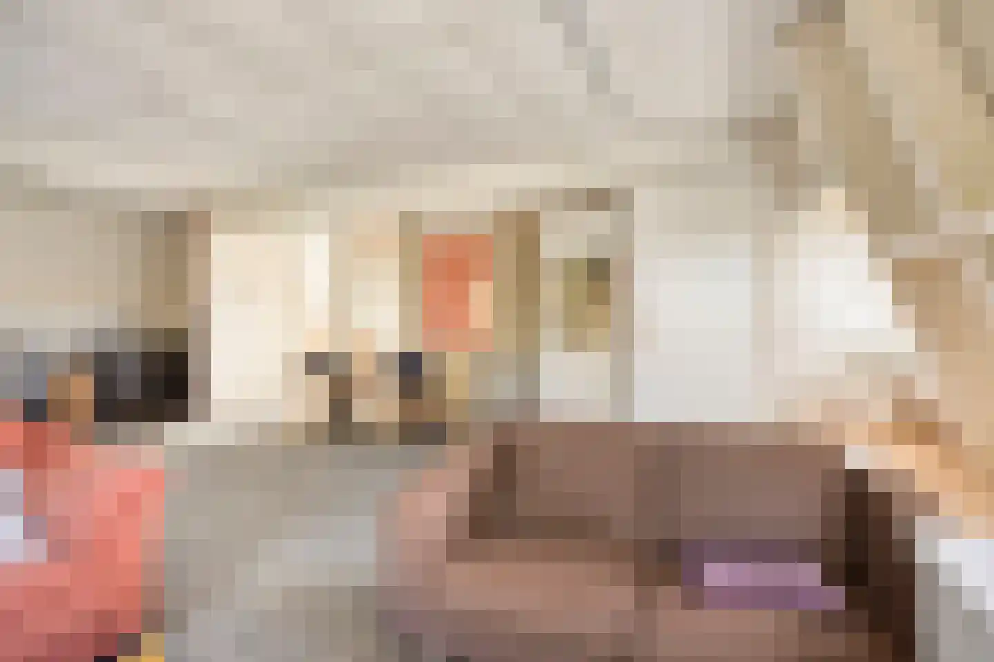 Kapelstraat 20 Beek en Donk thumbnail 36
