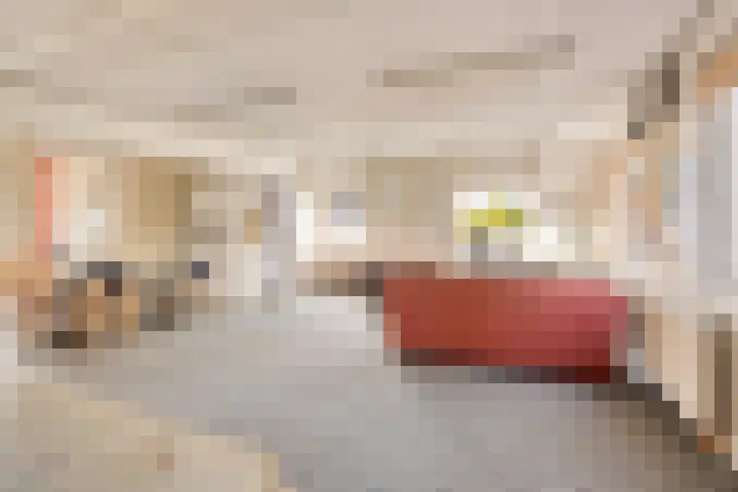 Kapelstraat 20 Beek en Donk thumbnail 39