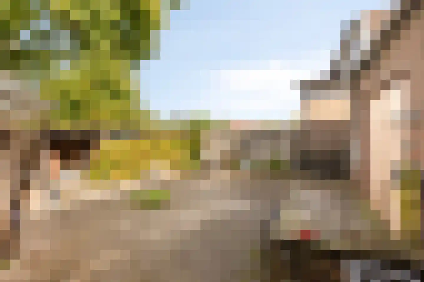Kapelstraat 20 Beek en Donk thumbnail 43