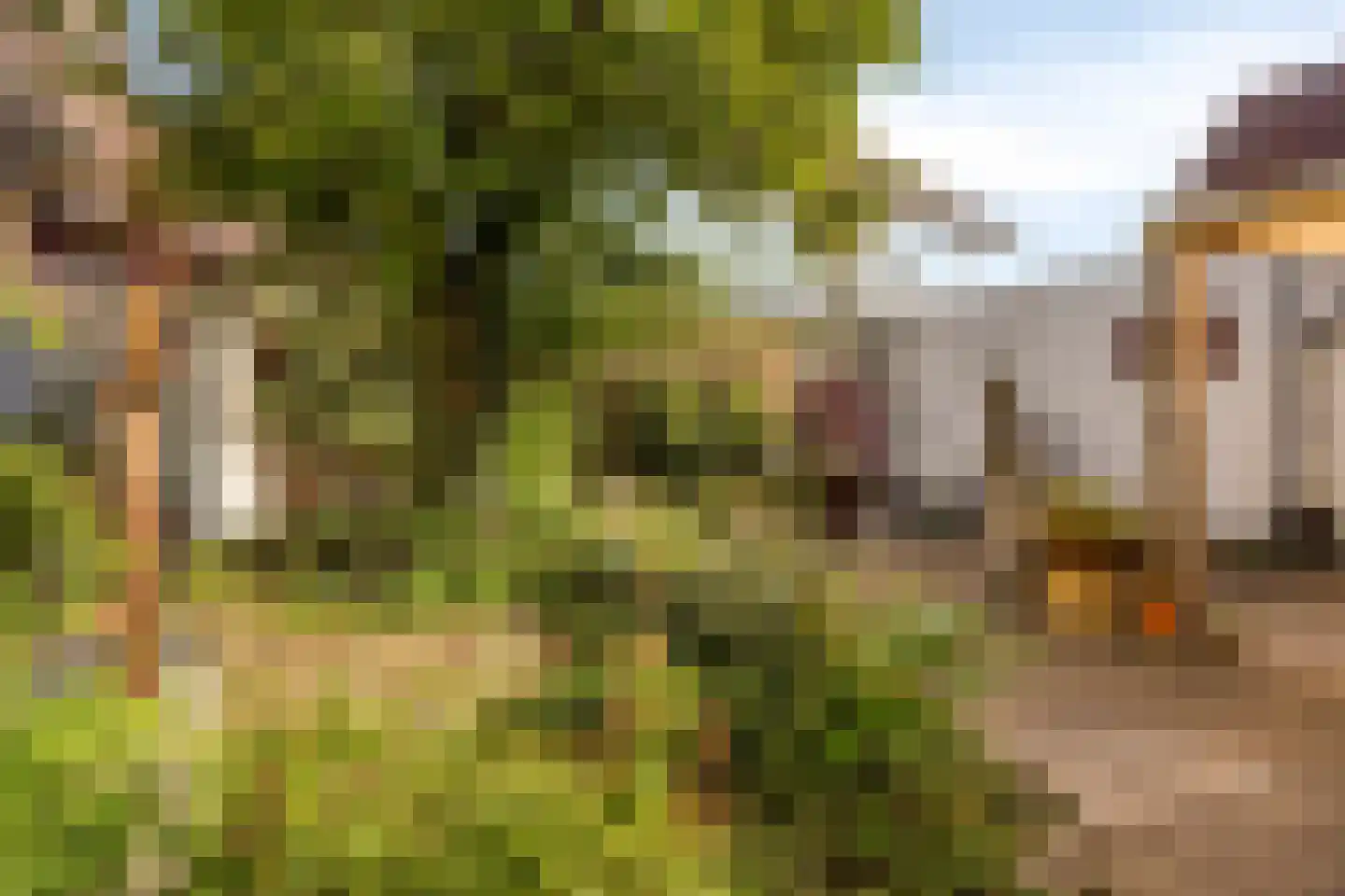 Kapelstraat 20 Beek en Donk thumbnail 49