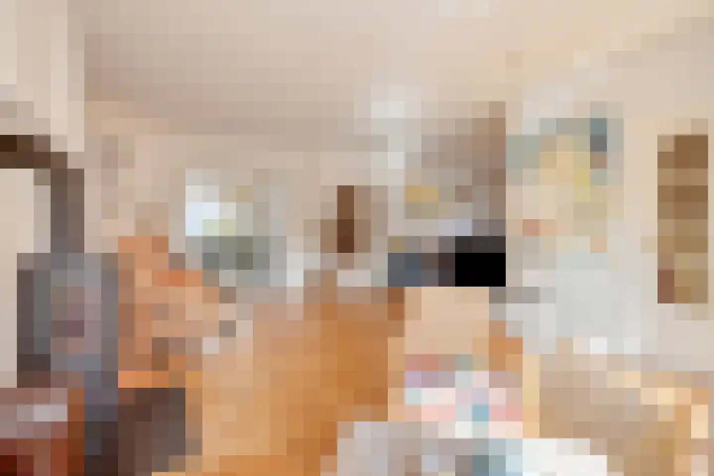 Kapelstraat 20 Beek en Donk thumbnail 7