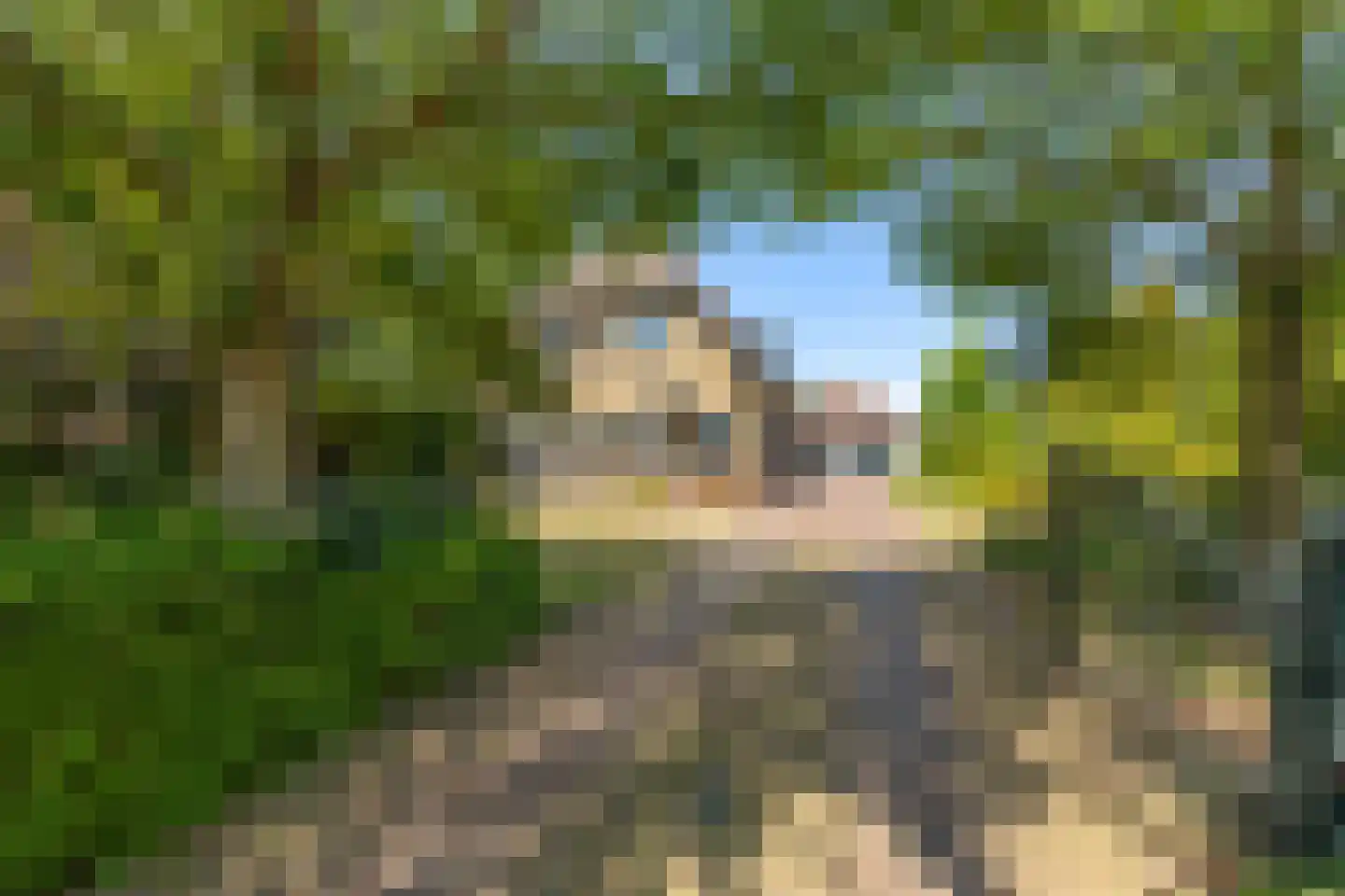 Kapelstraat 21 Gendt