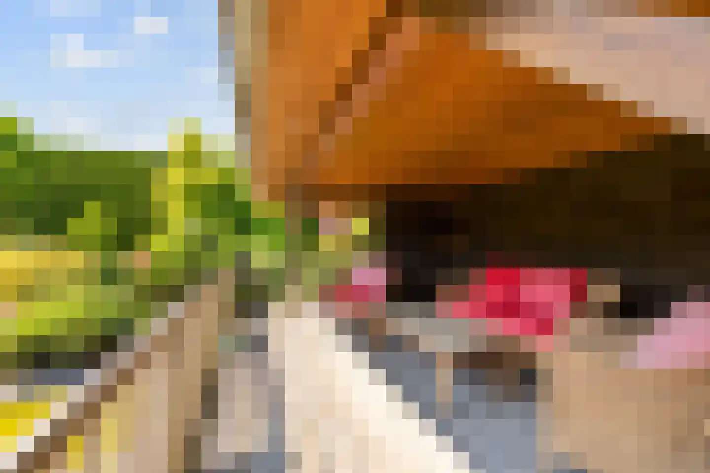 Kapelstraat 21 Gendt thumbnail 14