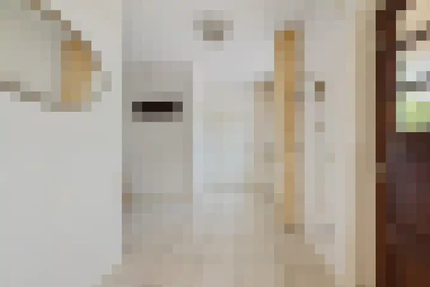 Kapelstraat 21 Gendt thumbnail 20