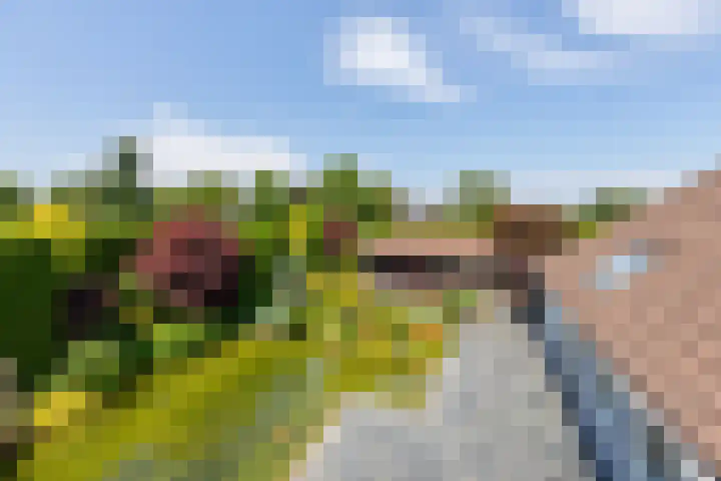 Kapelstraat 21 Gendt thumbnail 27