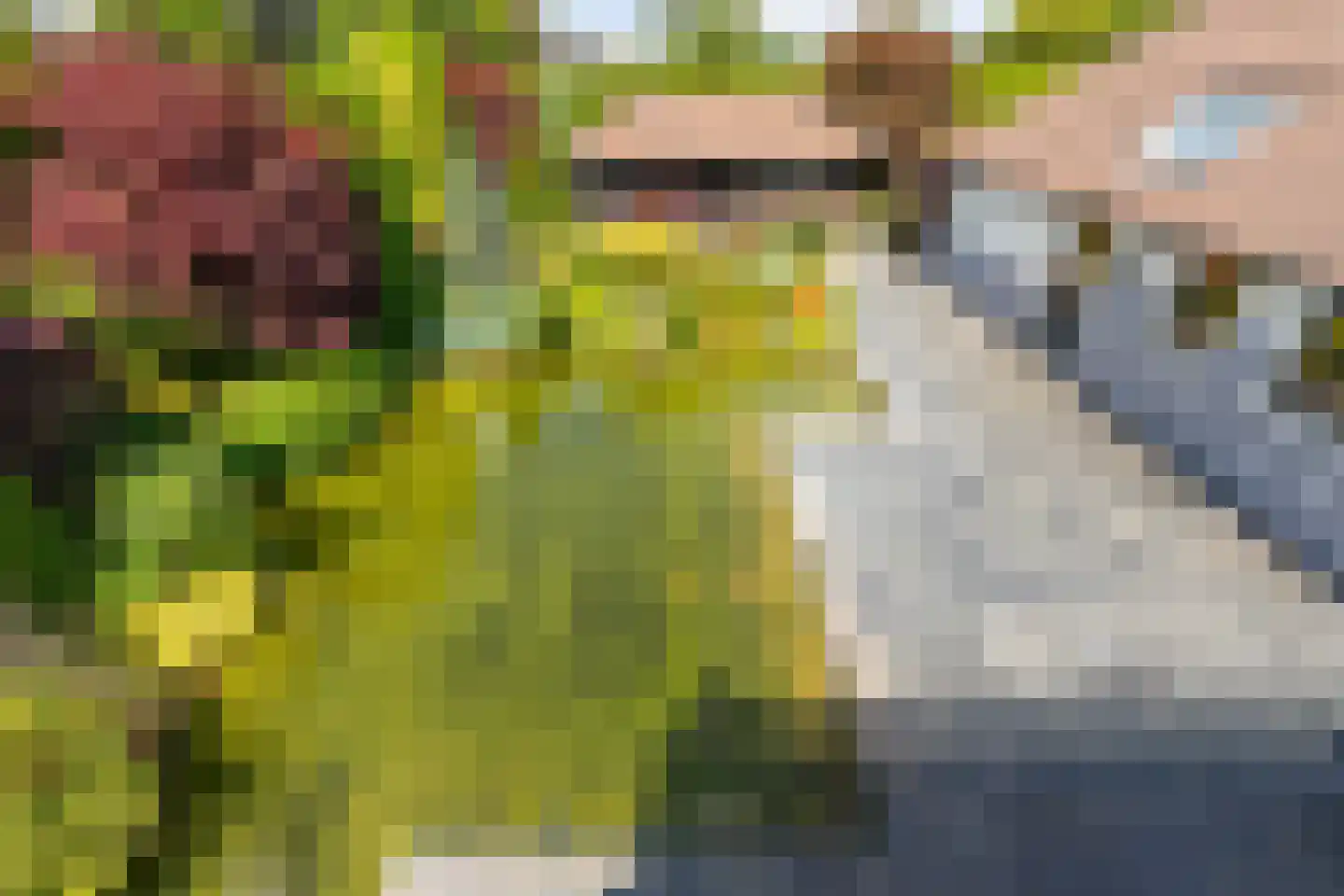 Kapelstraat 21 Gendt thumbnail 28