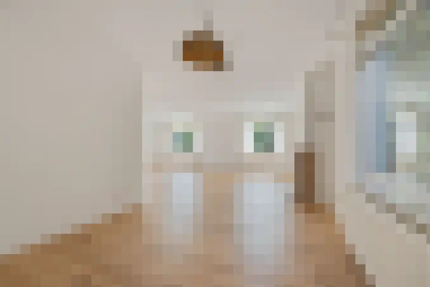 Kapelstraat 21 Gendt thumbnail 8