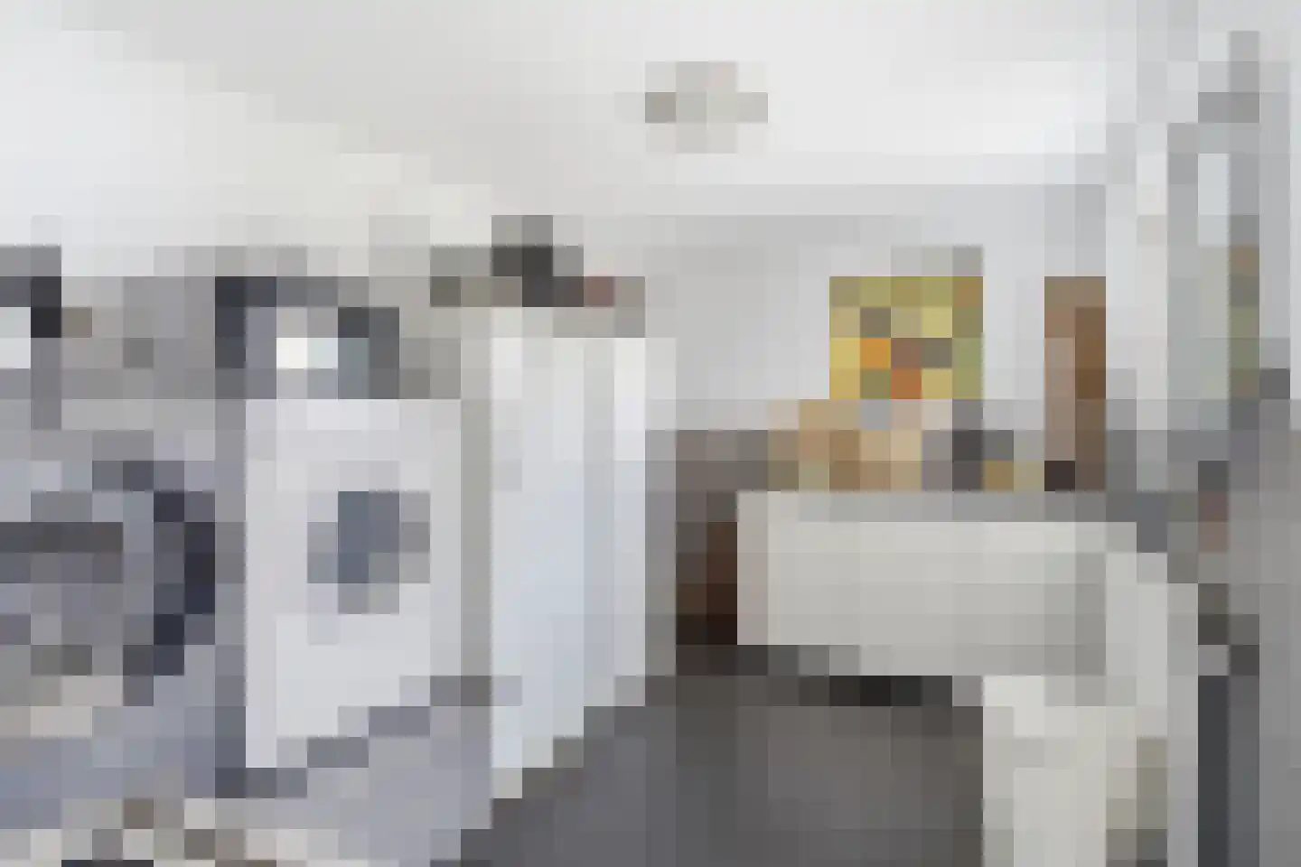 Kapelstraat 22 a Afferden L thumbnail 14
