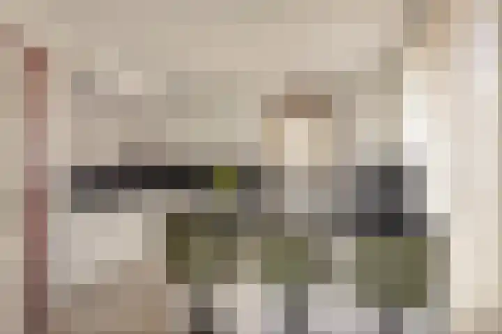Kapelstraat 22 Didam thumbnail 14