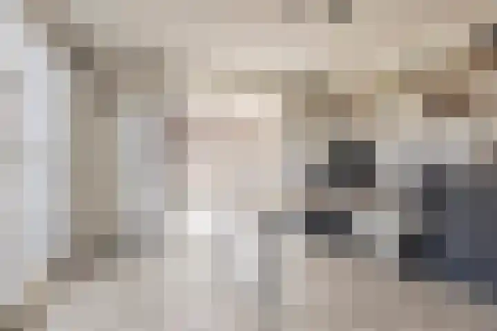 Kapelstraat 22 Didam thumbnail 17