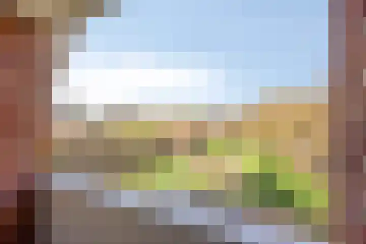 Kapelstraat 22 Didam thumbnail 24