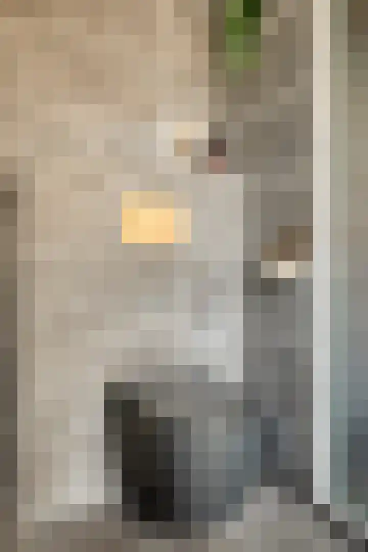Kapelstraat 22 Didam thumbnail 27