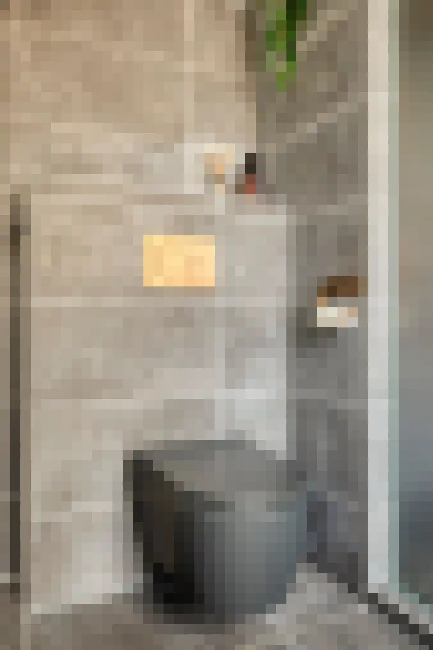 Kapelstraat 22 Didam thumbnail 27