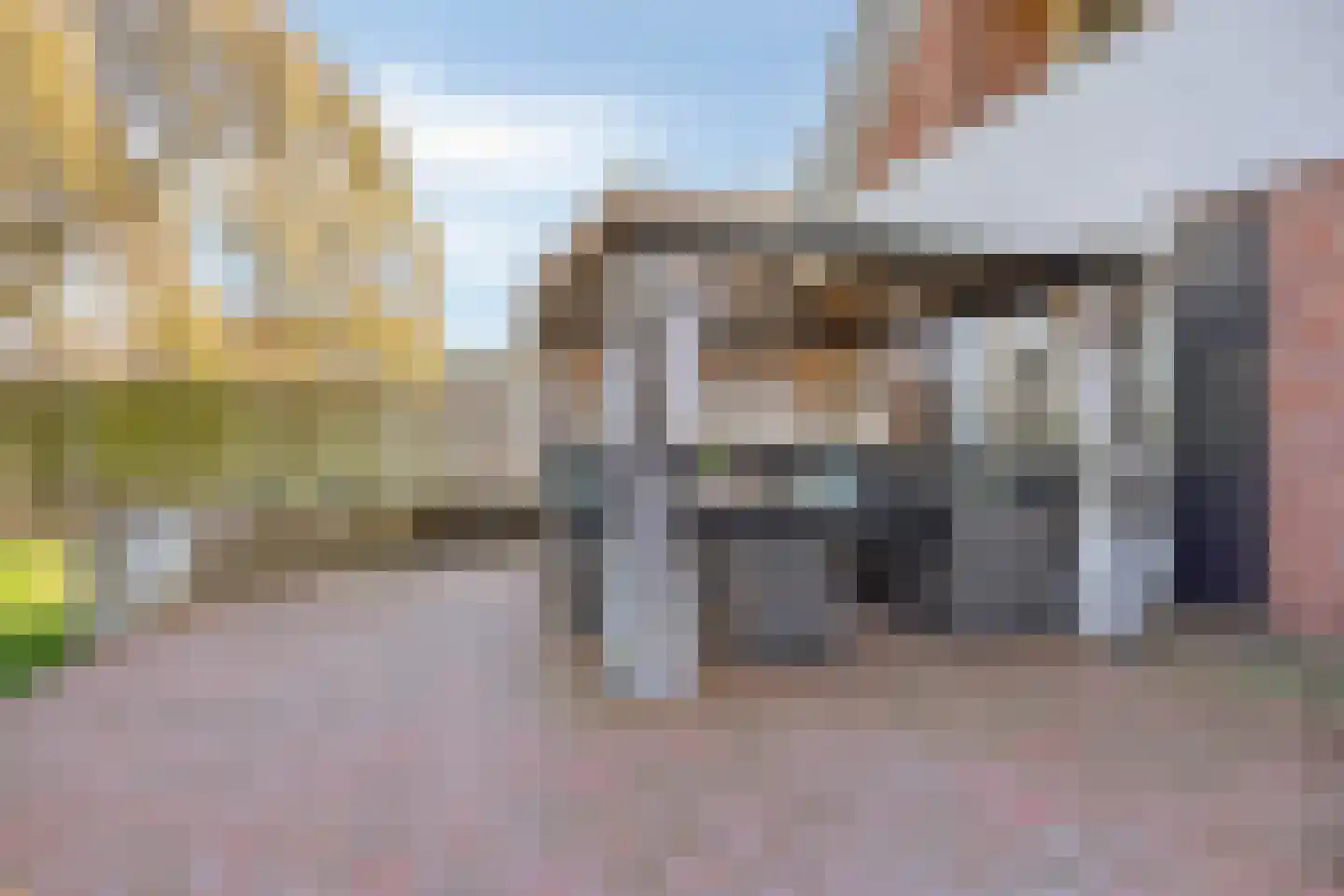 Kapelstraat 22 Didam thumbnail 38