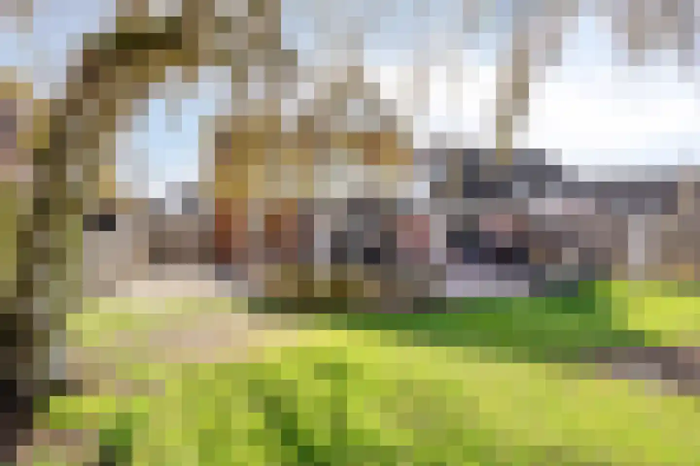 Kapelstraat 22 Didam thumbnail 43