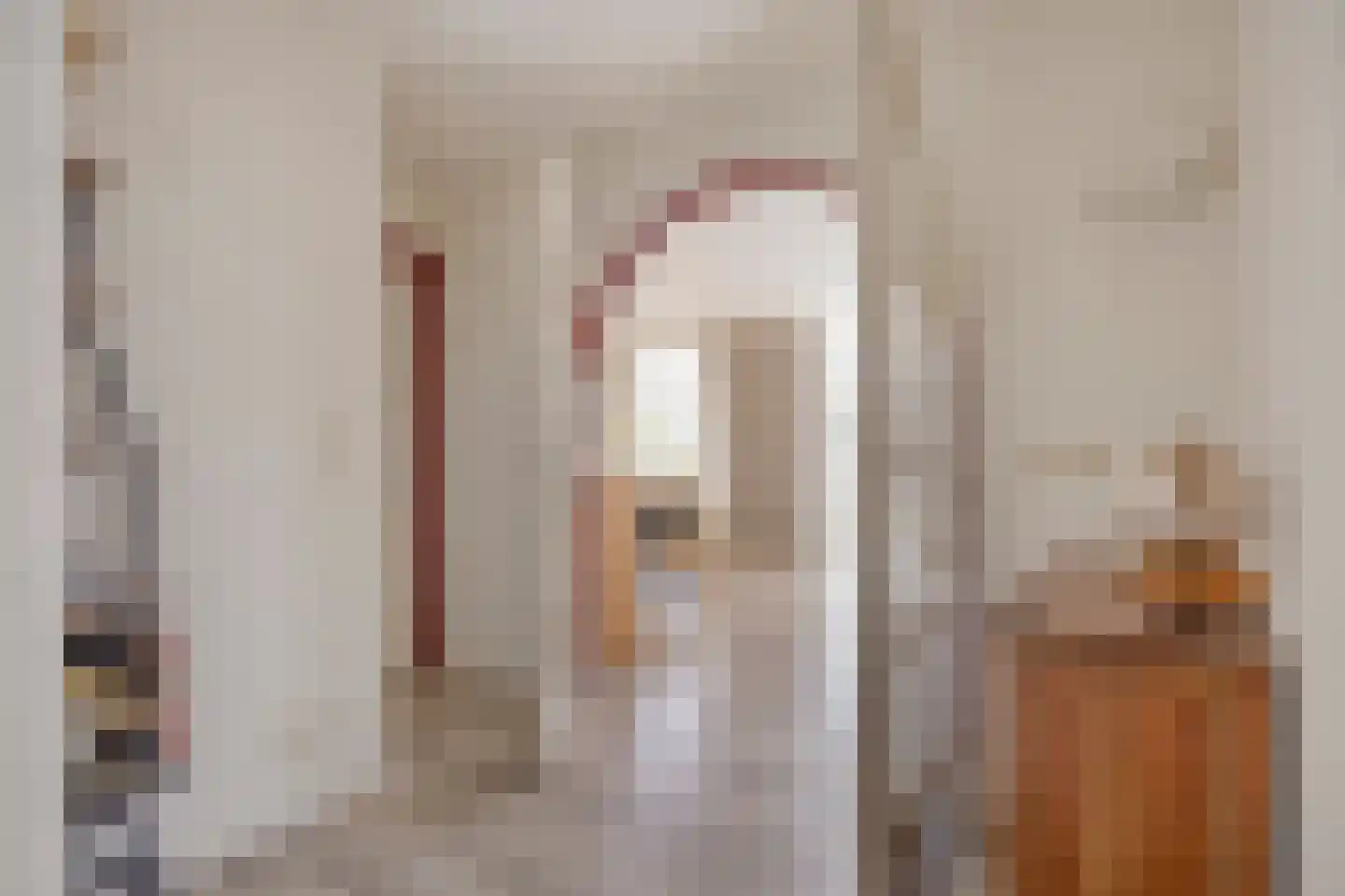 Kapelstraat 22 Didam thumbnail 6