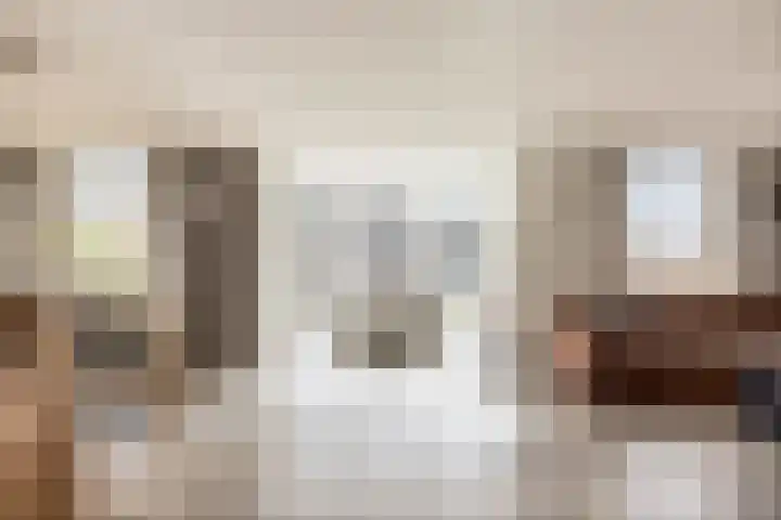 Kapelstraat 22 Didam thumbnail 7