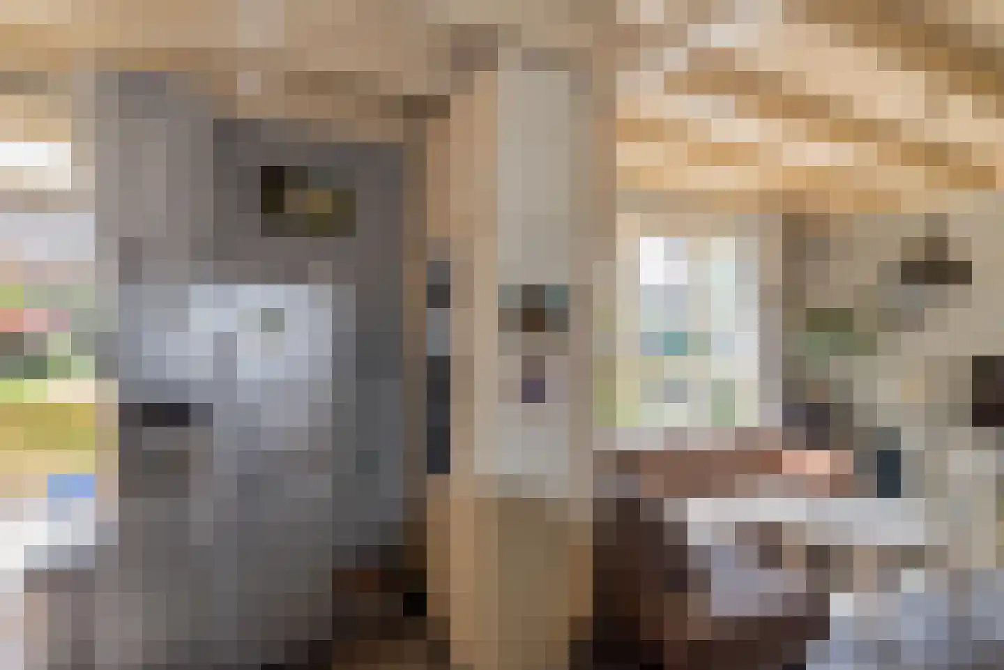 Kapelstraat 22 Ophemert thumbnail 16