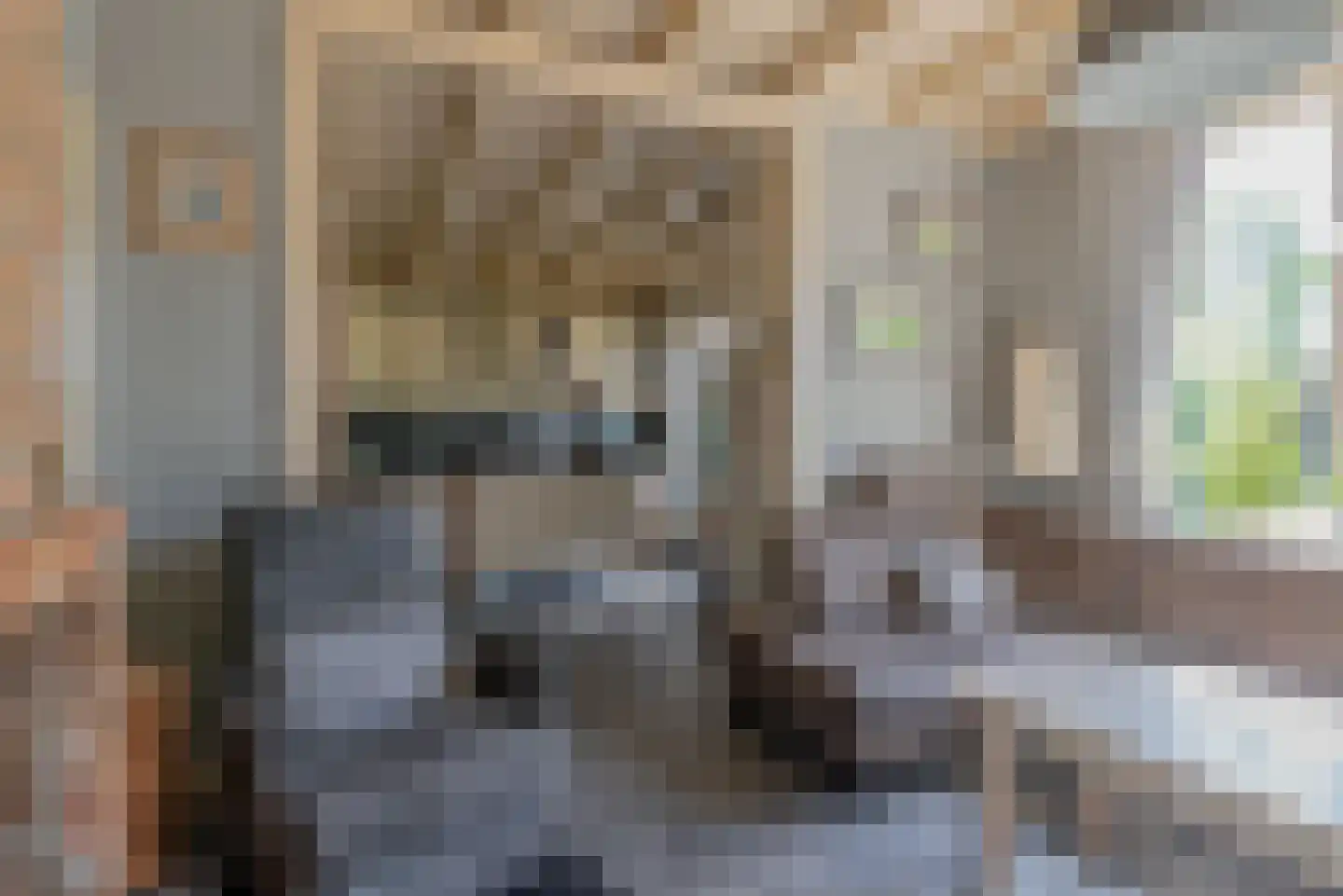 Kapelstraat 22 Ophemert thumbnail 18