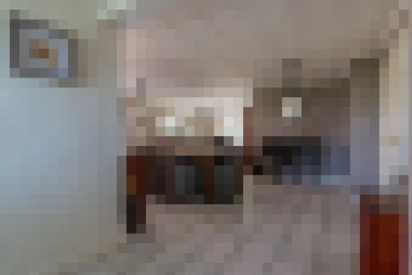 Kapelstraat 22 Ophemert thumbnail 21