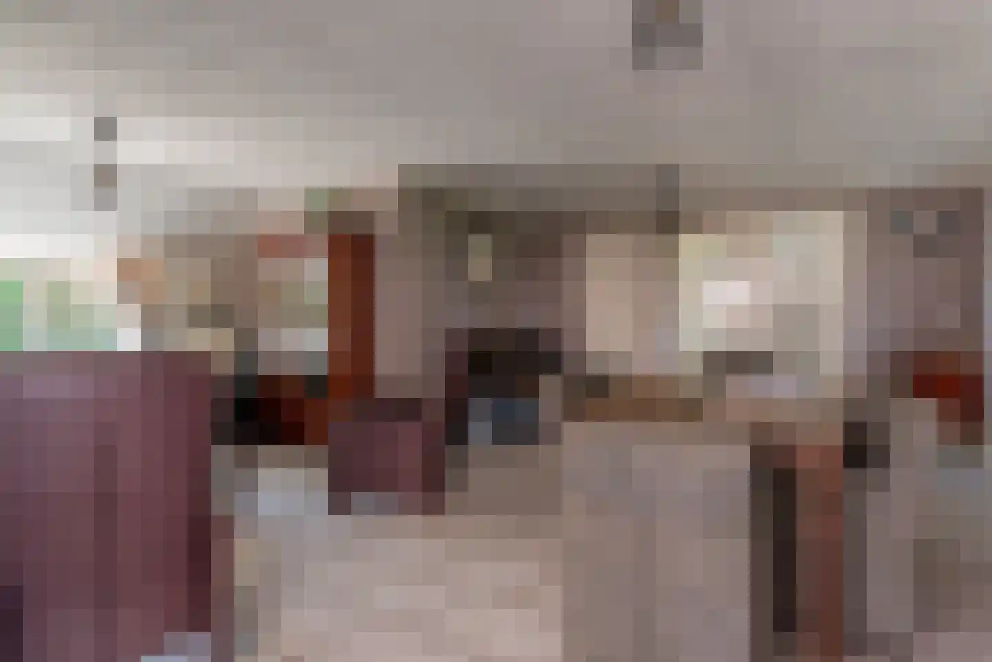 Kapelstraat 22 Ophemert thumbnail 23