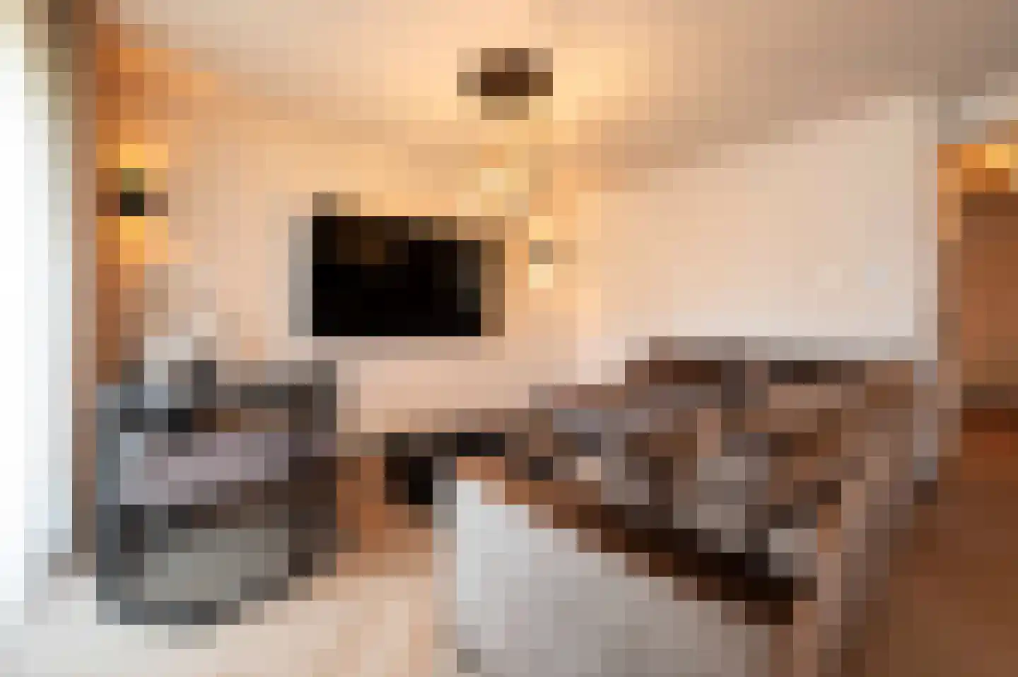 Kapelstraat 24 Zegge thumbnail 8