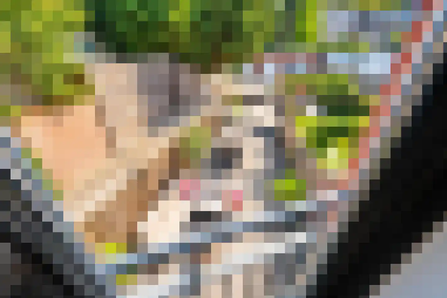 Kapelstraat 26 b Tilburg thumbnail 26