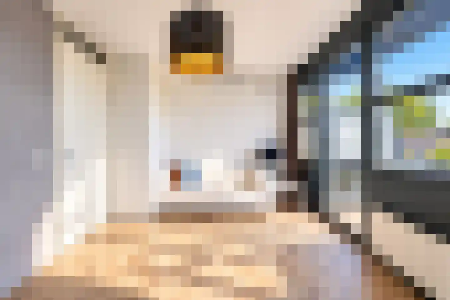 Kapelstraat 26 b Tilburg thumbnail 36