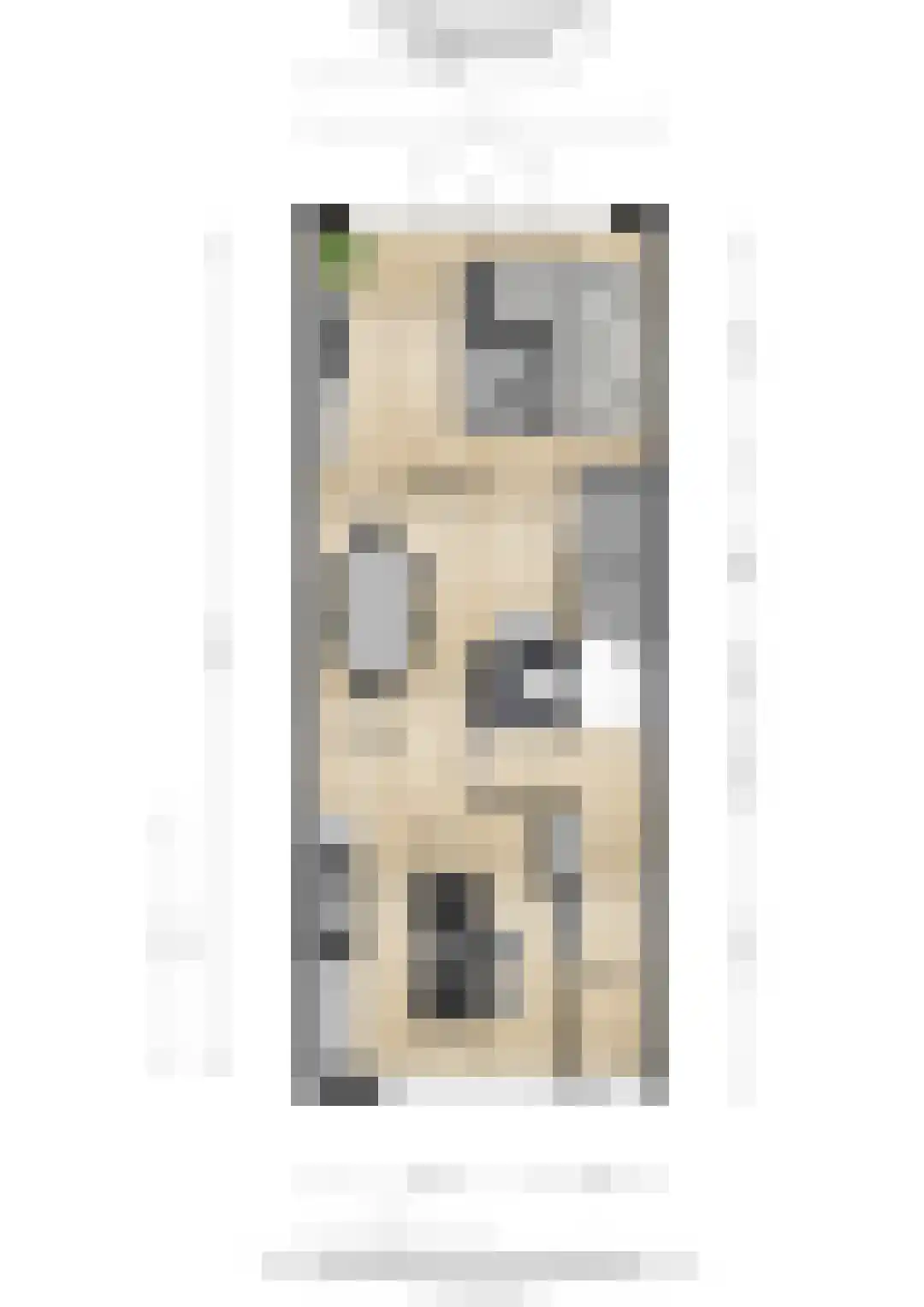 Kapelstraat 26 b Tilburg thumbnail 45