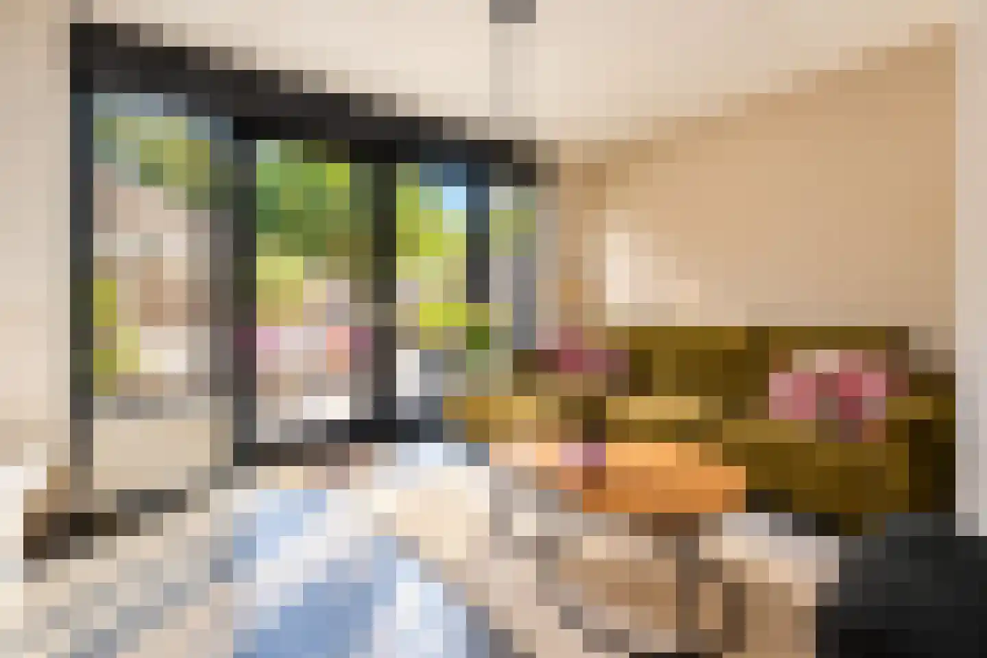 Kapelstraat 26 b Tilburg thumbnail 8