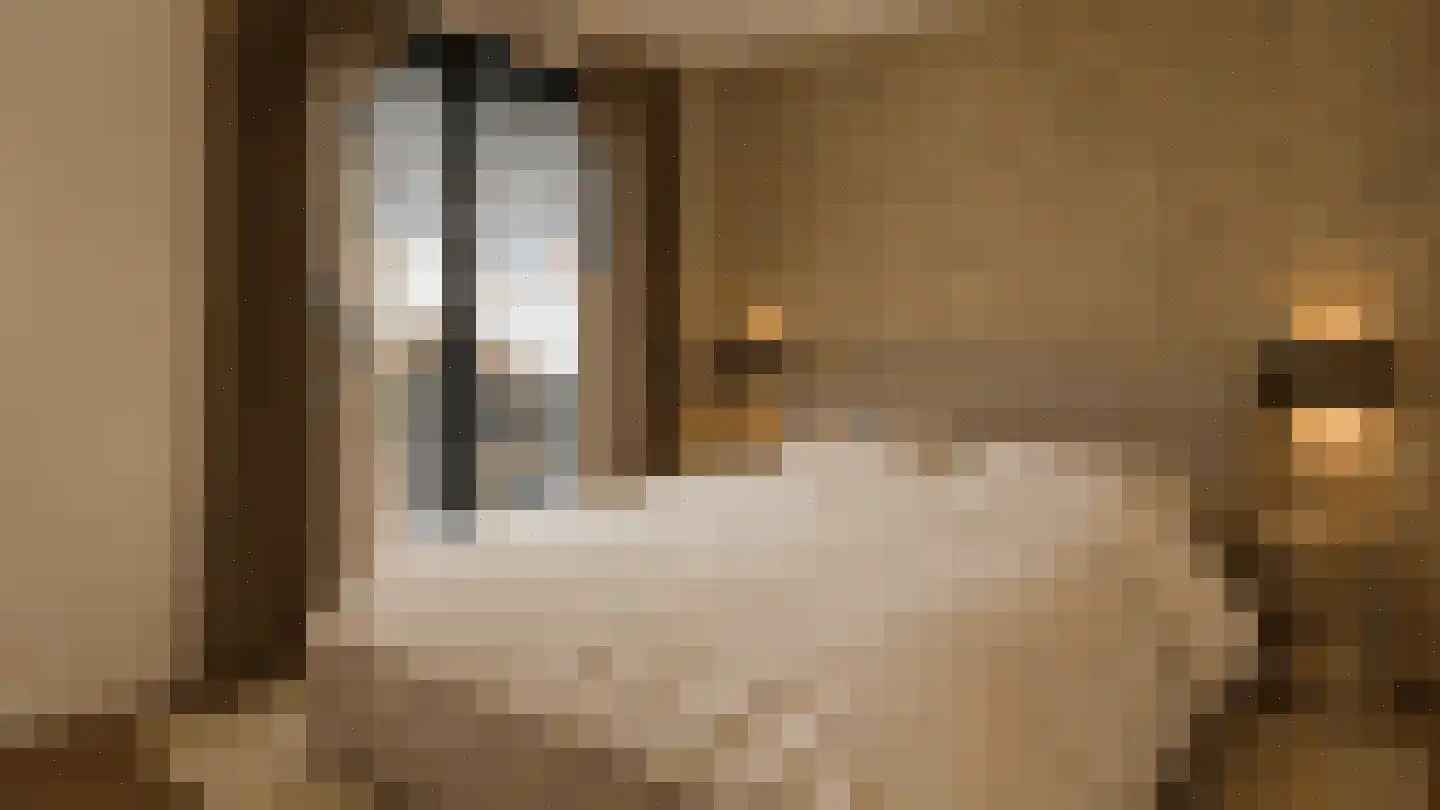 Kapelstraat 26 Zegge thumbnail 21