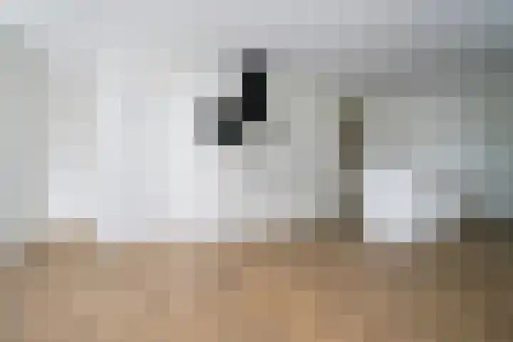 Kapelstraat 27 A Veghel thumbnail 5