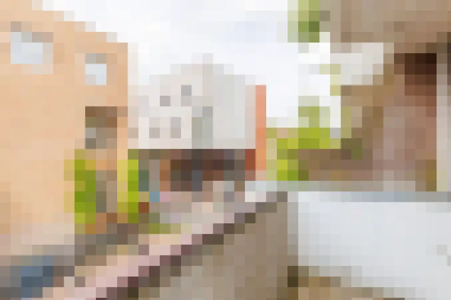 Kapelstraat 28 Apeldoorn thumbnail 12