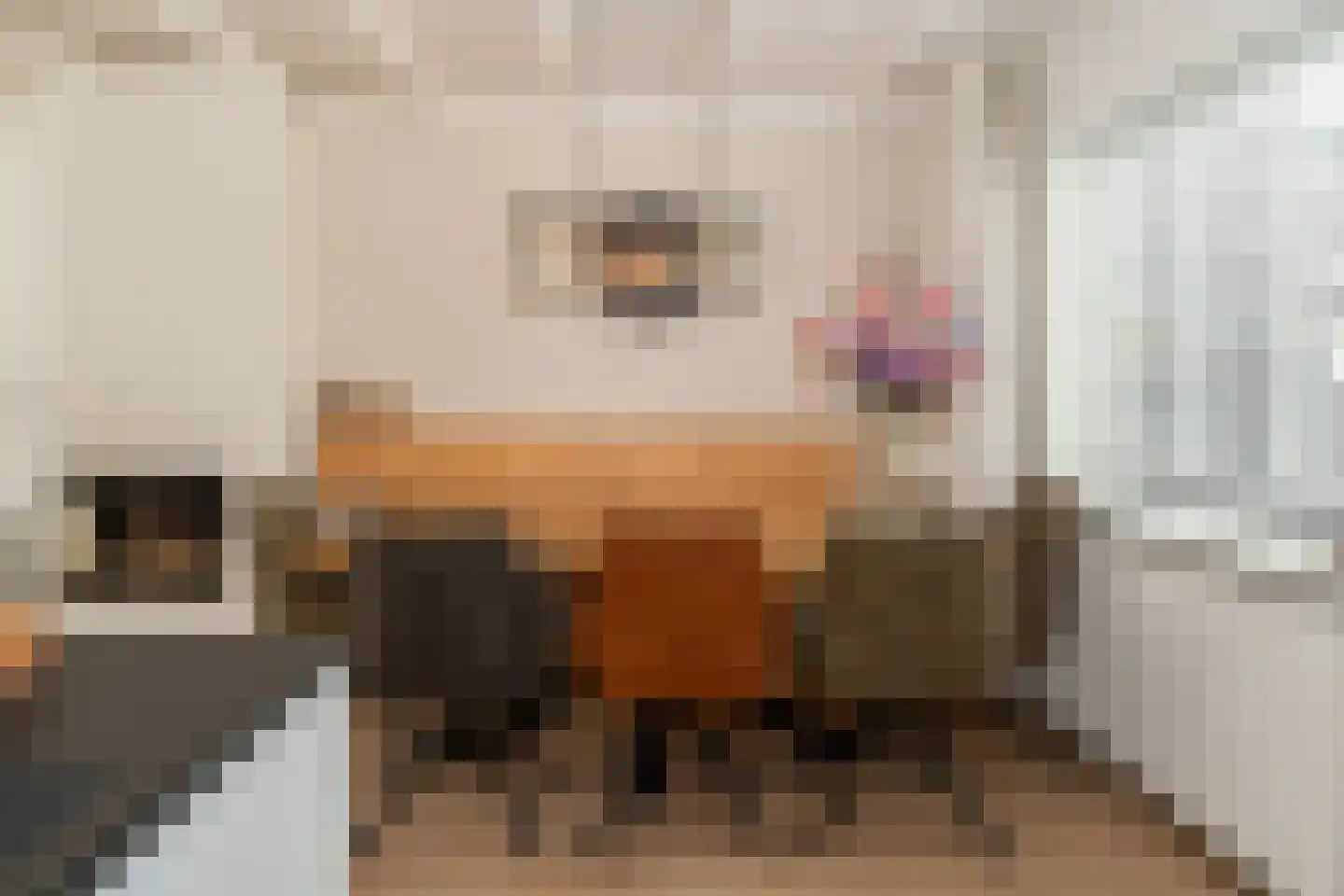 Kapelstraat 28 Epe thumbnail 11