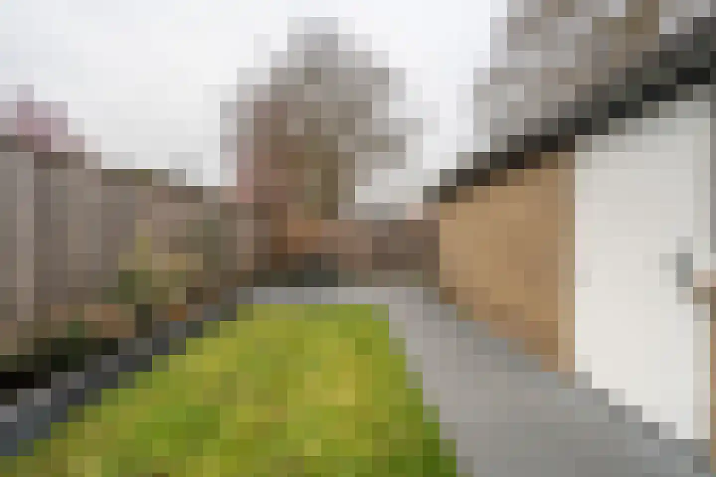 Kapelstraat 28 Epe thumbnail 31
