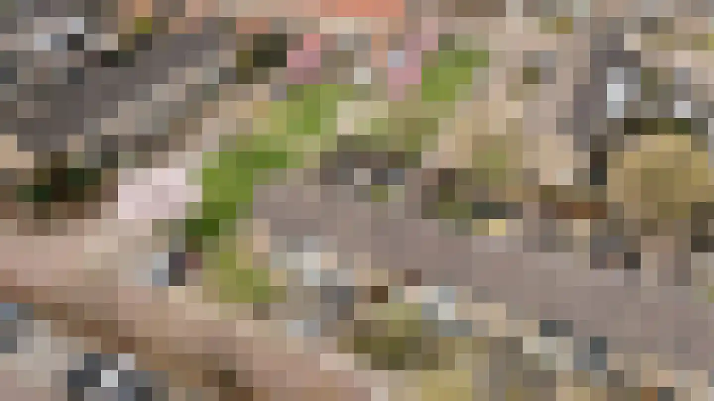Kapelstraat 28 Epe thumbnail 33