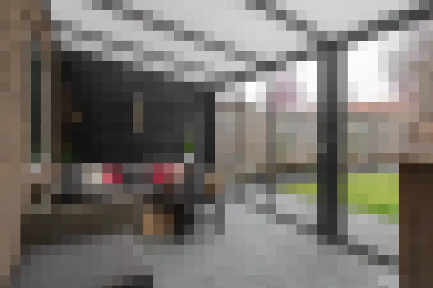 Kapelstraat 28 Epe thumbnail 4