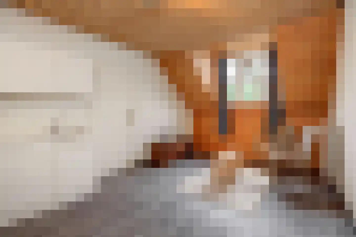 Kapelstraat 28 Megen thumbnail 31