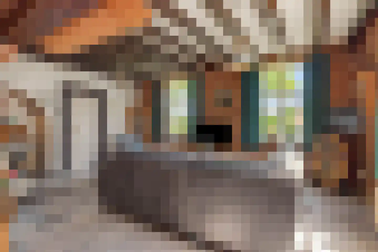 Kapelstraat 28 Megen thumbnail 9