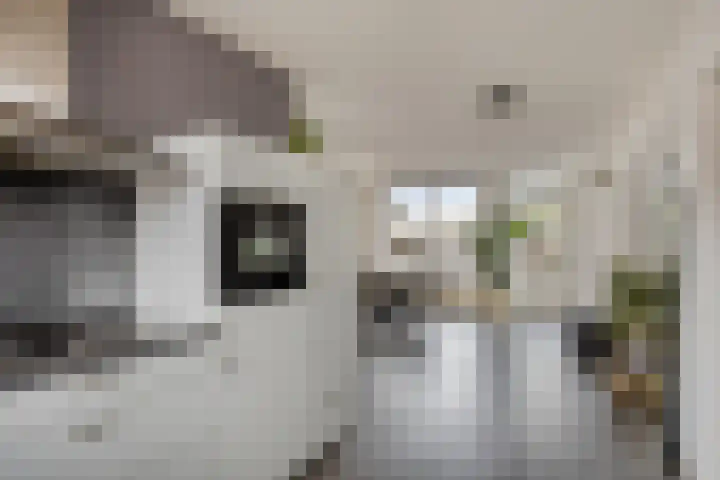 Kapelstraat 3 a Afferden L thumbnail 16