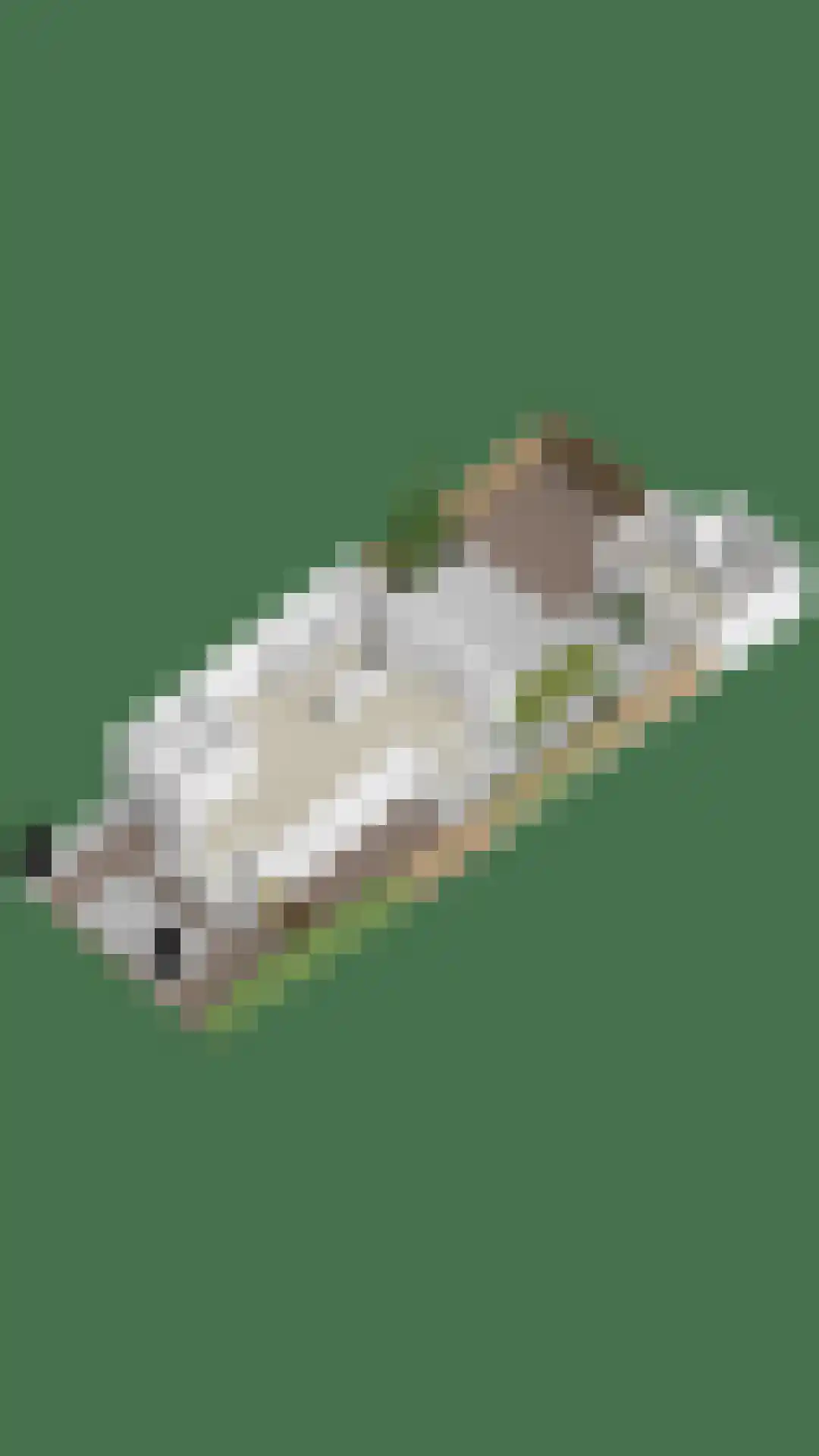 Kapelstraat 3 Geffen thumbnail 43