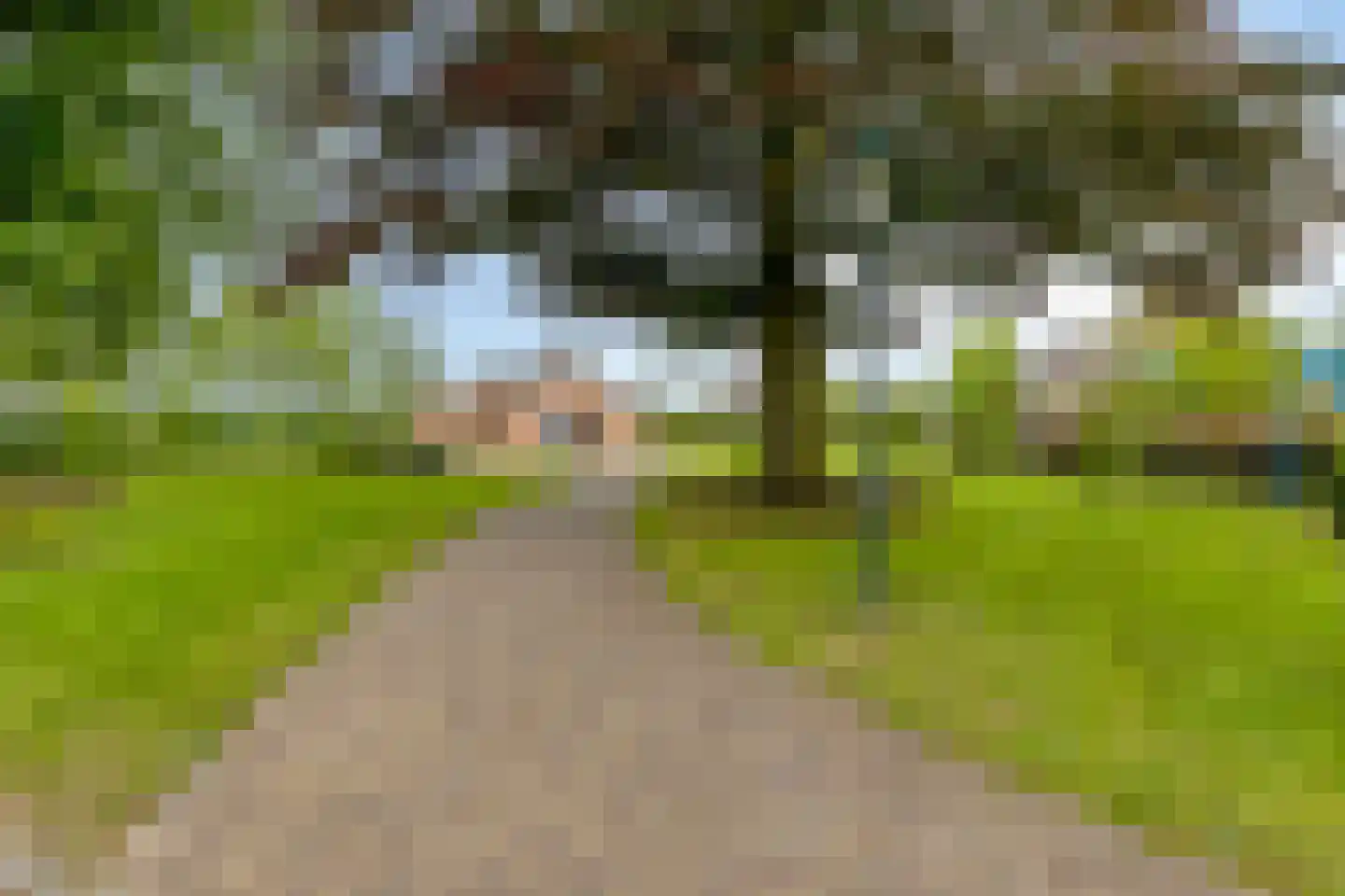 Kapelstraat 30 Elshout thumbnail 101
