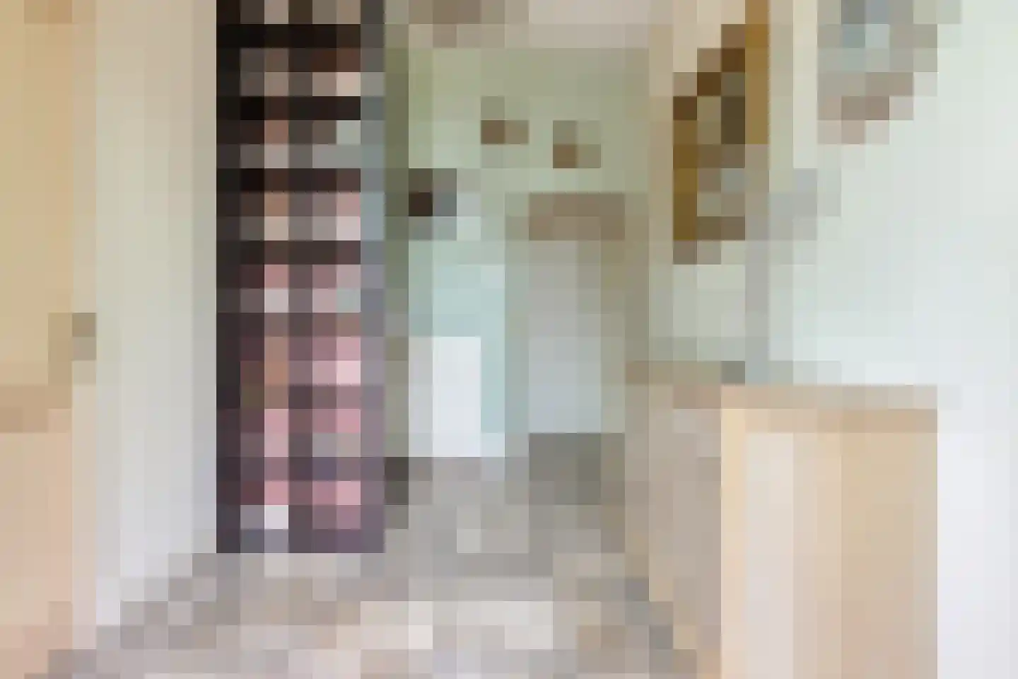 Kapelstraat 30 Elshout thumbnail 12