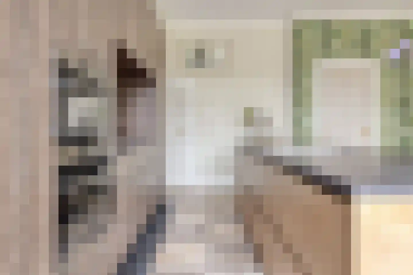 Kapelstraat 30 Elshout thumbnail 15